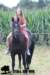 staldeeikimg_2078_small.jpg