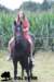 staldeeikimg_2079_small.jpg