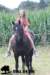 staldeeikimg_2081_small.jpg