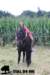 staldeeikimg_2091_small.jpg