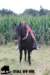 staldeeikimg_2097_small.jpg