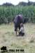 staldeeikimg_2120_small.jpg