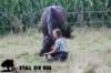 staldeeikimg_2123_small.jpg