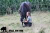 staldeeikimg_2124_small.jpg