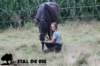 staldeeikimg_2126_small.jpg