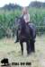 staldeeikimg_2131_small.jpg