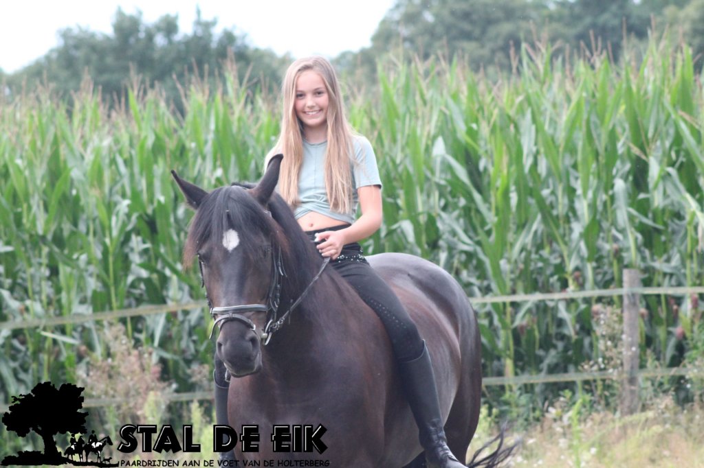 staldeeikimg_2140.jpg
