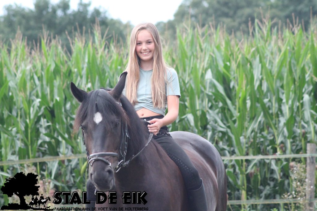 staldeeikimg_2142.jpg