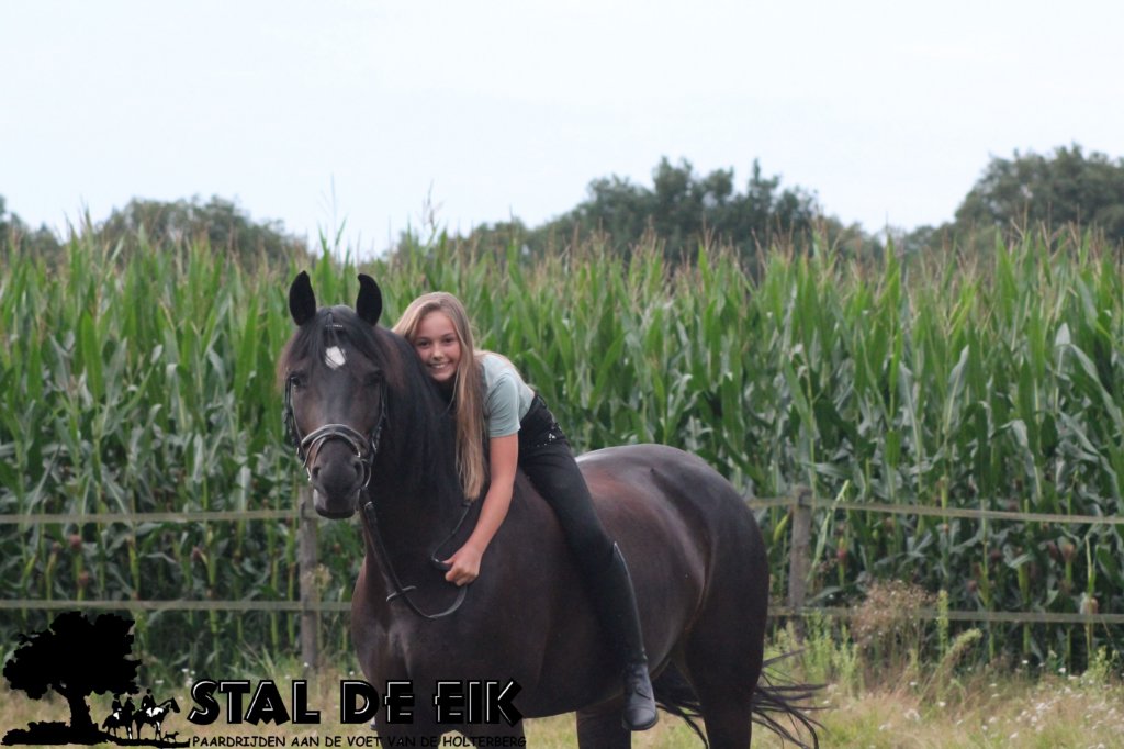 staldeeikimg_2149.jpg