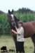 staldeeikimg_2157_small.jpg