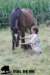 staldeeikimg_2171_small.jpg