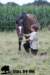 staldeeikimg_2172_small.jpg