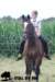staldeeikimg_2187_small.jpg