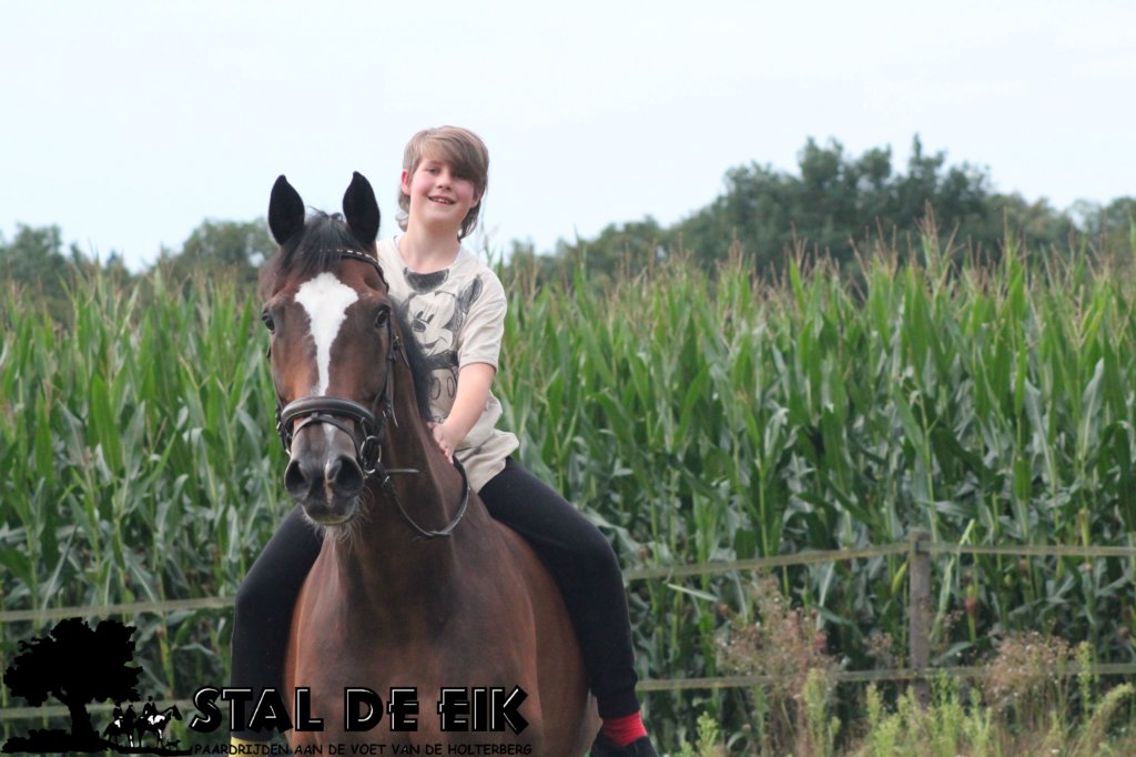 staldeeikimg_2188.jpg