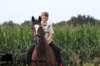 staldeeikimg_2190_small.jpg