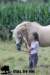 staldeeikimg_2213_small.jpg