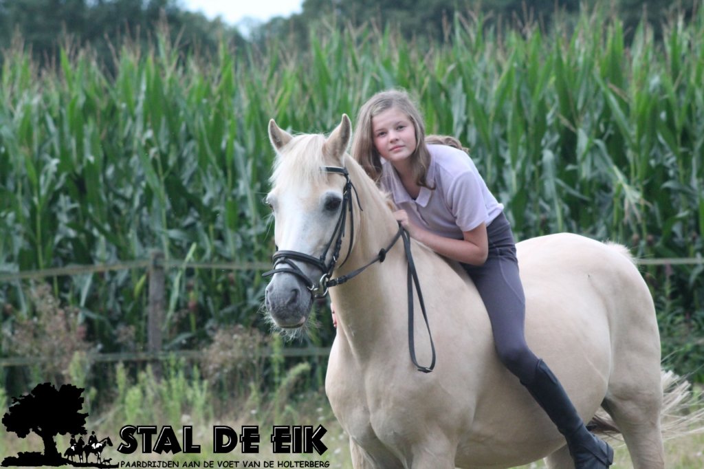 staldeeikimg_2235.jpg