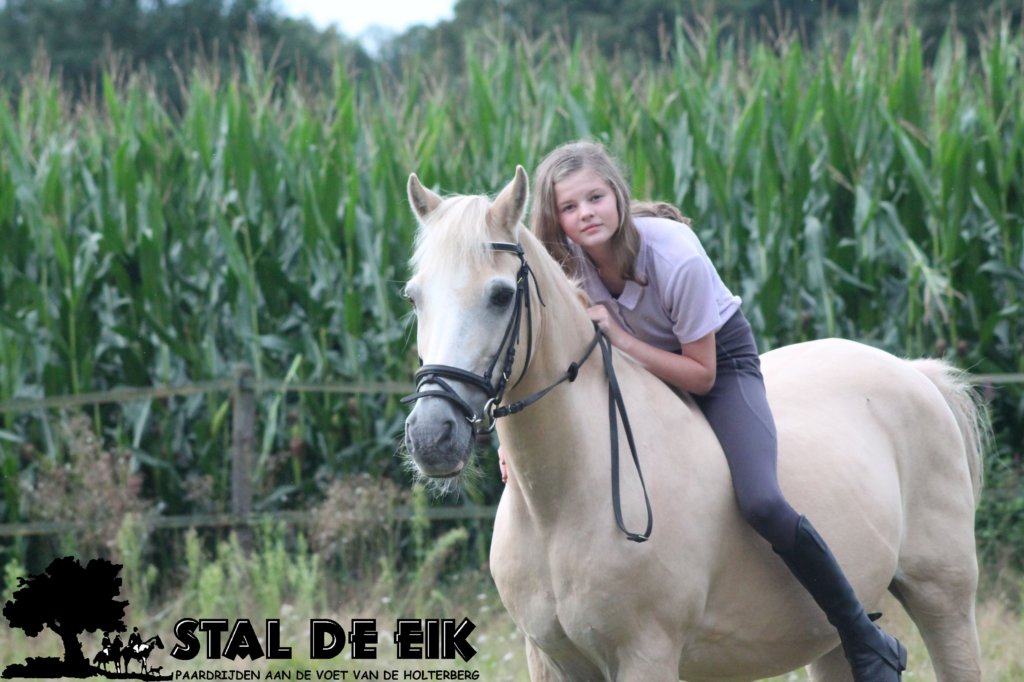 staldeeikimg_2236.jpg