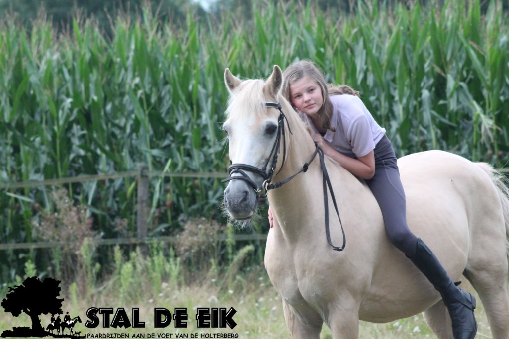 staldeeikimg_2237.jpg