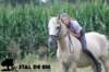 staldeeikimg_2237_small.jpg