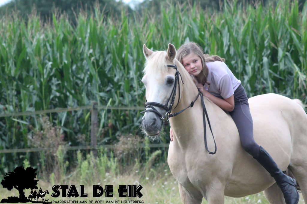 staldeeikimg_2238.jpg