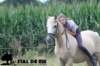 staldeeikimg_2238_small.jpg