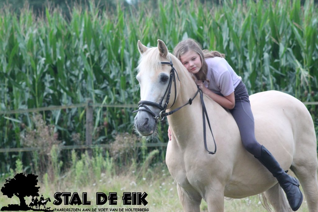 staldeeikimg_2239.jpg