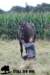 staldeeikimg_2264_small.jpg