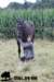 staldeeikimg_2267_small.jpg