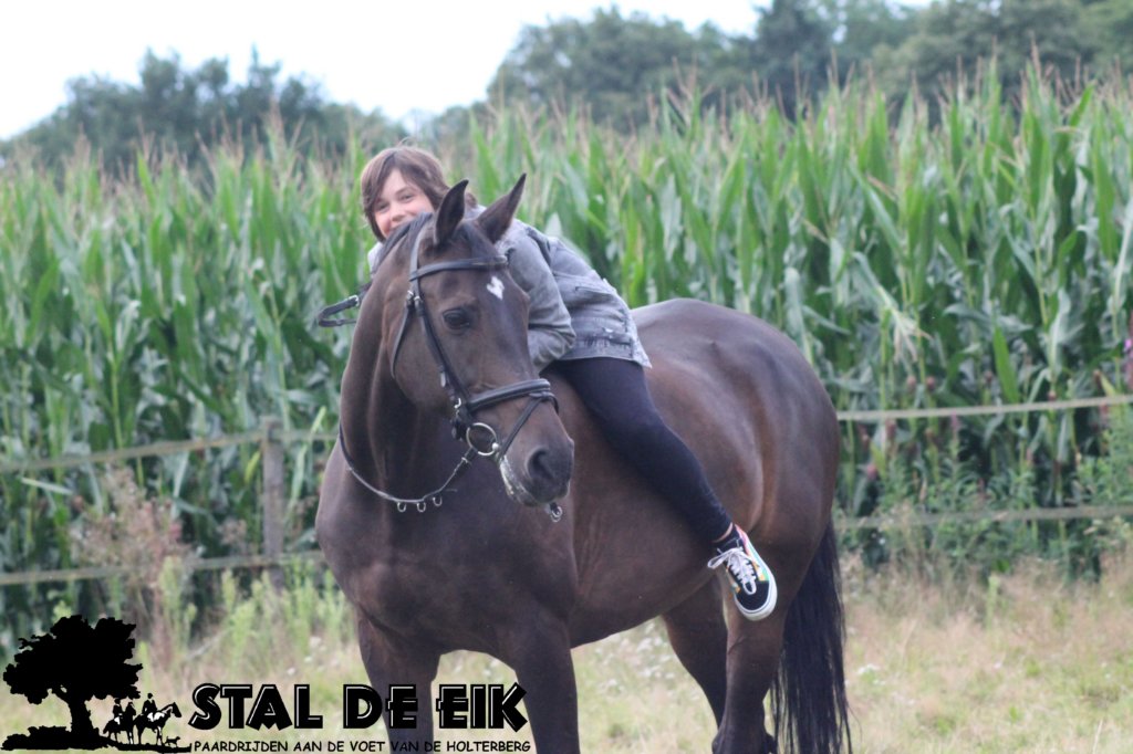 staldeeikimg_2283.jpg
