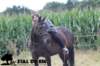 staldeeikimg_2283_small.jpg