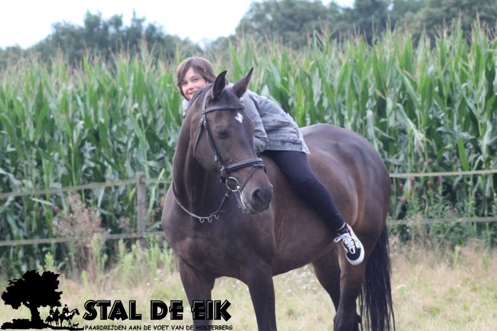 staldeeikimg_2285.jpg