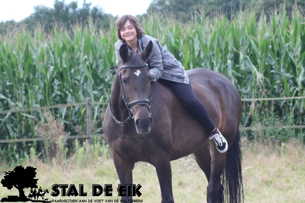 staldeeikimg_2286.jpg
