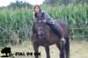 staldeeikimg_2286_small.jpg