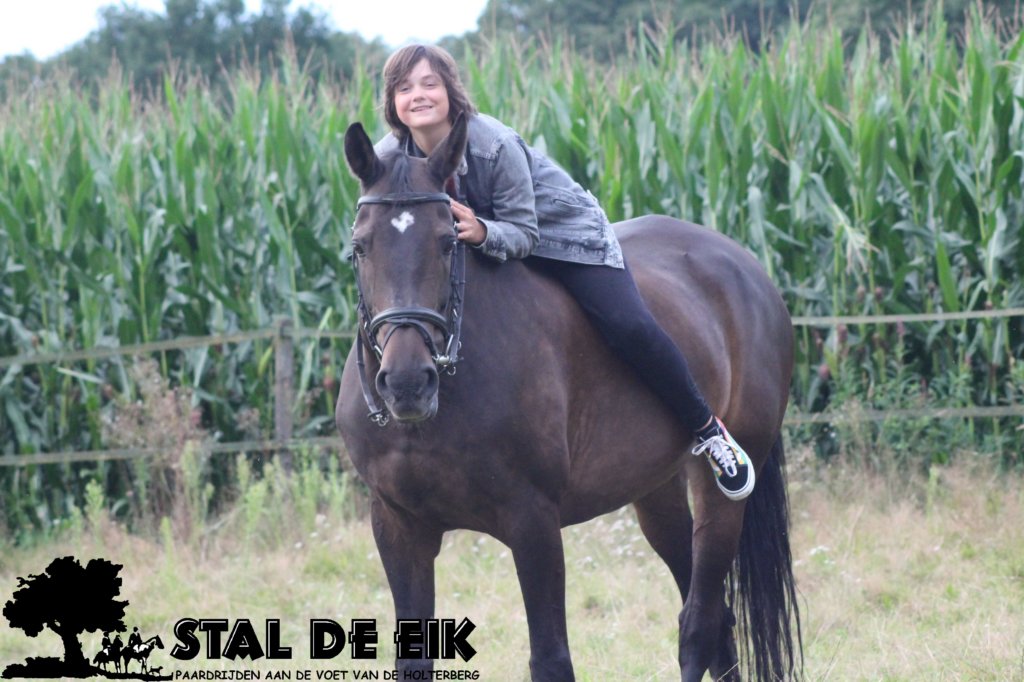 staldeeikimg_2287.jpg