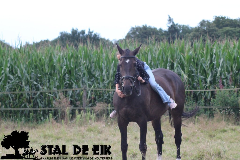 staldeeikimg_2314.jpg