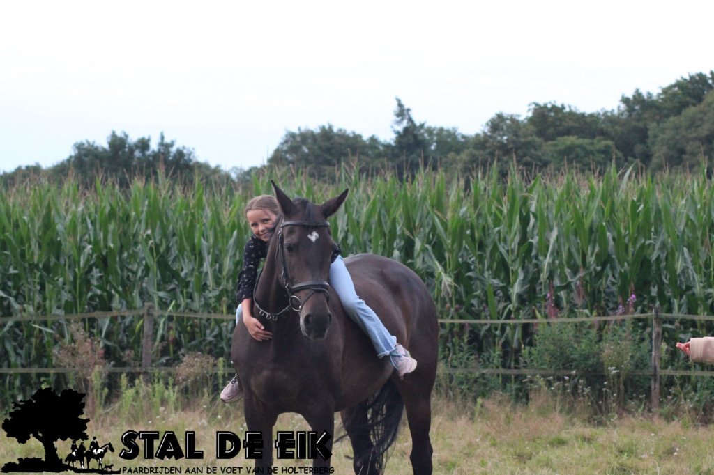 staldeeikimg_2315.jpg