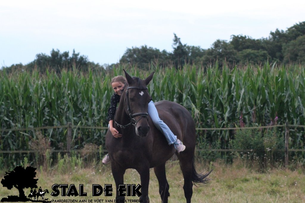 staldeeikimg_2317.jpg