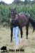 staldeeikimg_2329_small.jpg