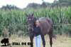 staldeeikimg_2330_small.jpg