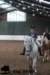 staldeeikimg_2675_small.jpg