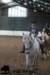 staldeeikimg_2677_small.jpg