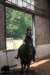 staldeeikimg_2694_small.jpg