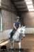 staldeeikimg_2698_small.jpg