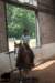 staldeeikimg_2707_small.jpg