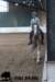 staldeeikimg_2709_small.jpg