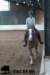 staldeeikimg_2710_small.jpg