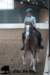 staldeeikimg_2711_small.jpg