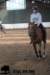 staldeeikimg_2713_small.jpg