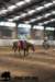 staldeeikimg_2714_small.jpg